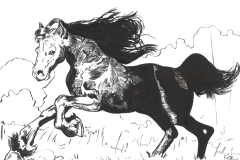 Horses for Lex