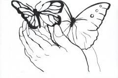 Butterflies