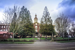 The Academy