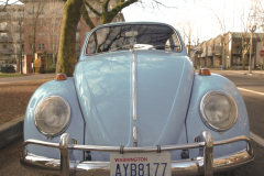 VW Bug